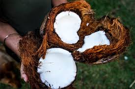 कच्चा नारियल खाने के फायदे